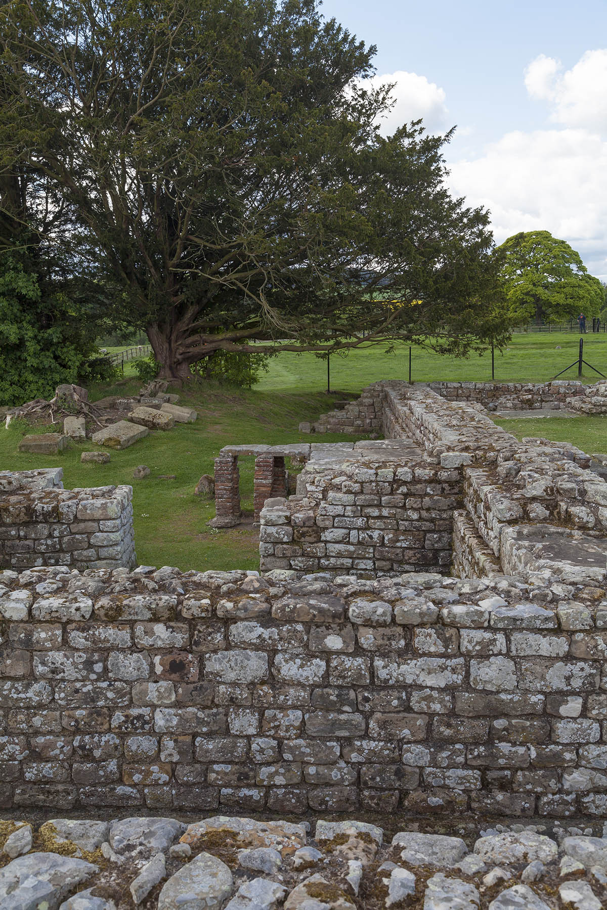 Chesters Roman Fort | neOnbubble