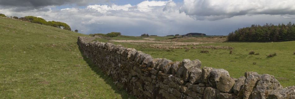 Housesteads Landscape