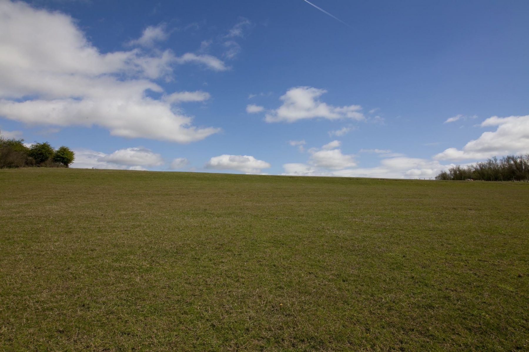 Rother Valley Country Park | NeOnbubble