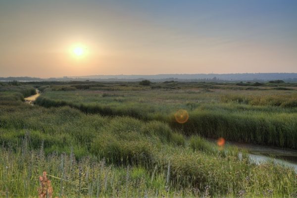 Farlington Marshes HDR