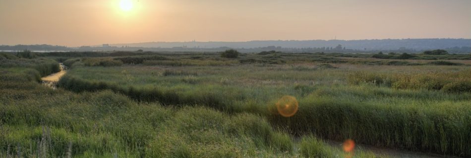 Farlington Marshes HDR