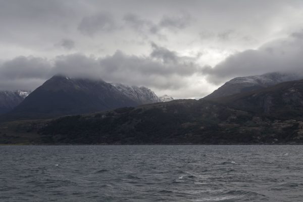 Beagle Channel Cruise