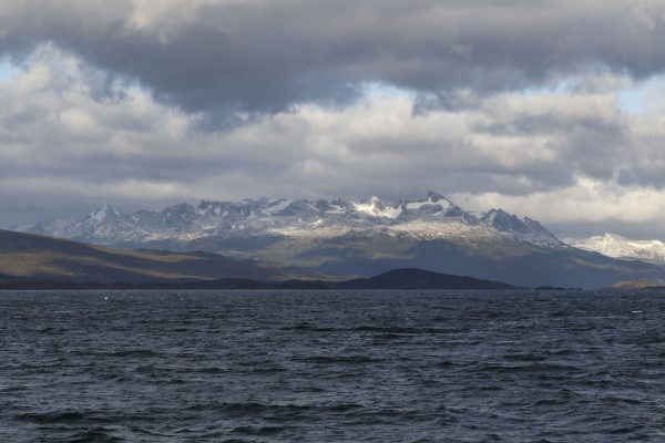 Beagle Channel Cruise