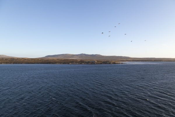 Blanco Bay, Falkland Islands