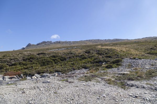 Mount Harriet, Falklands