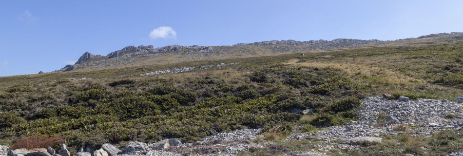 Mount Harriet, Falklands