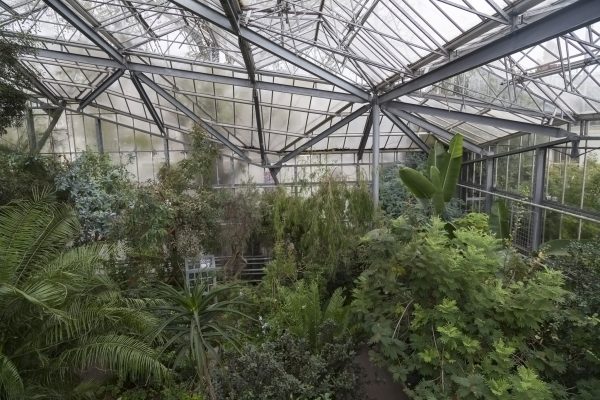 Hortus Botanicus Greenhouse