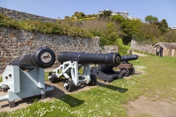 Clarence Battery