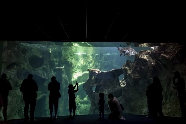 La Rochelle Aquarium