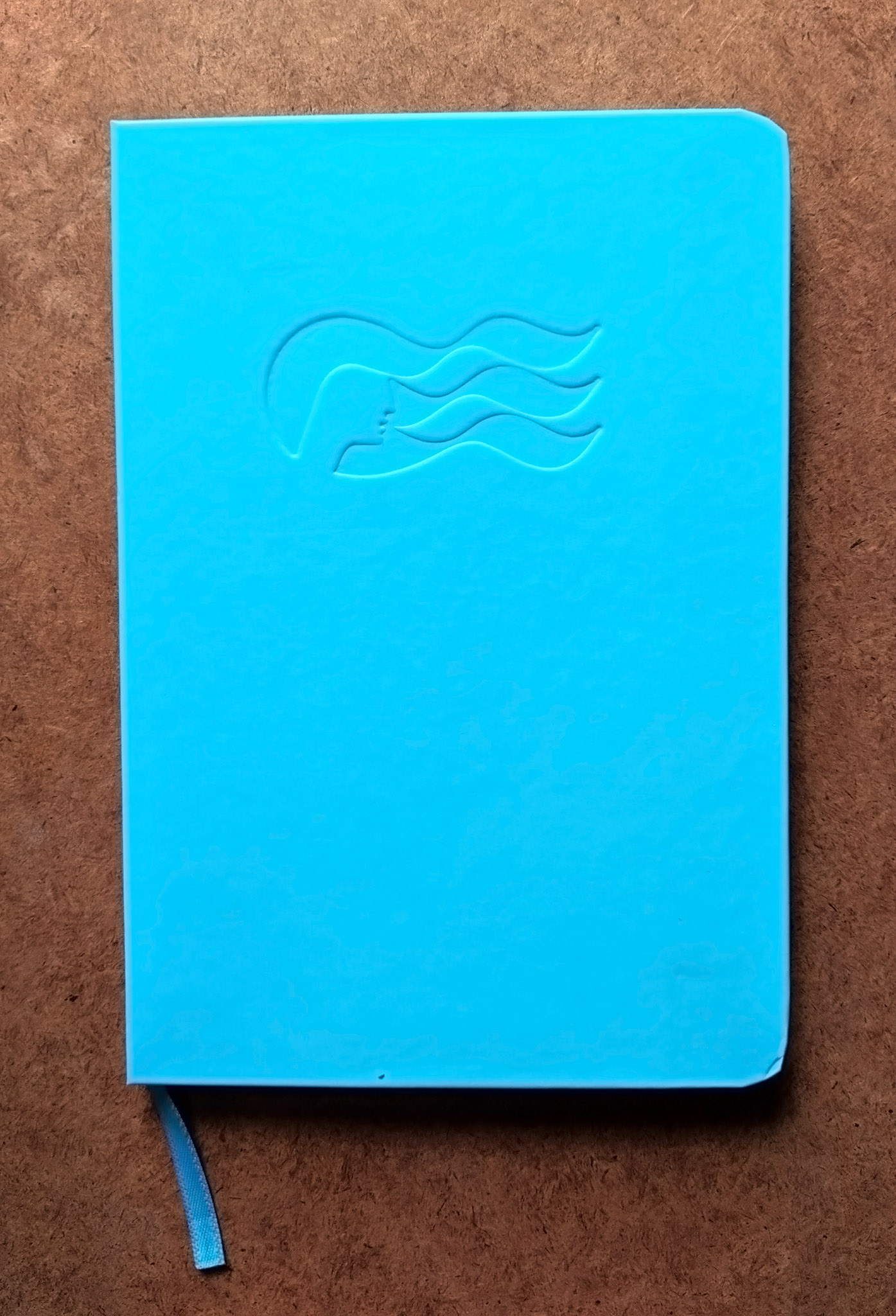 Sapphire Princess Notebook