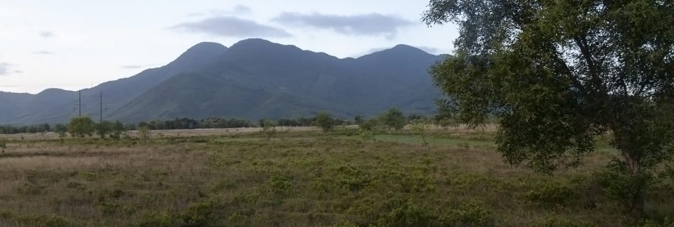 Vietnamese Countryside