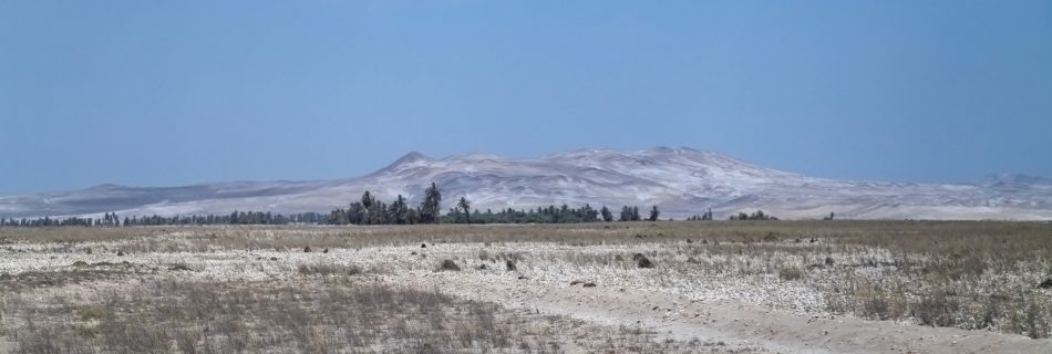 Paracas National Reserve, Peru