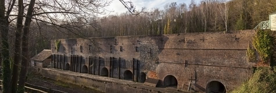 De Witt Kilns