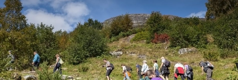 Geiranger Hike