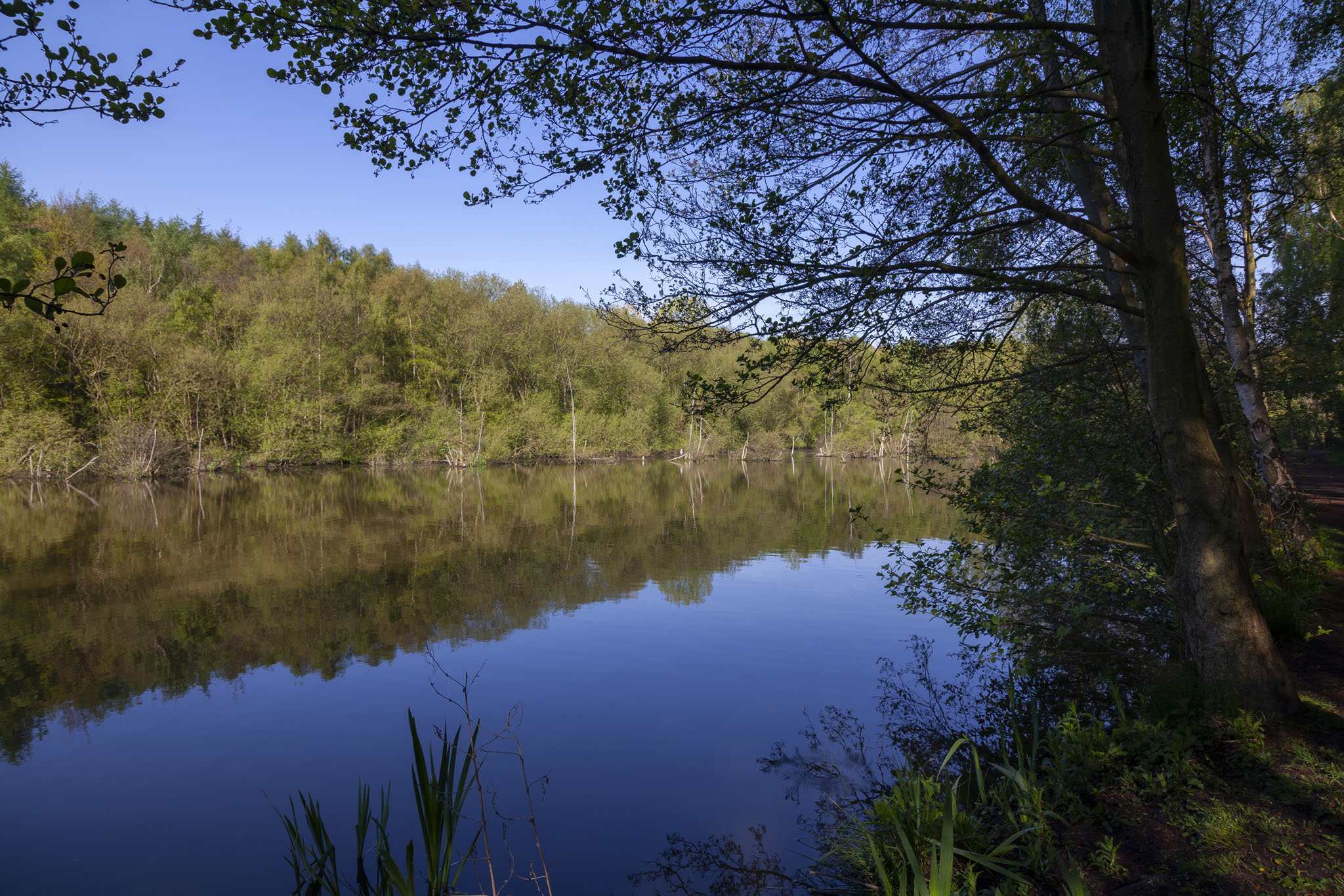 Newmillerdam Nature Reserve