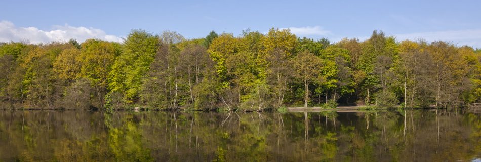 Newmillerdam Country Park, Yorkshire