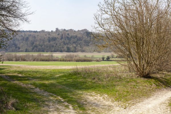 Chilgrove, West Sussex