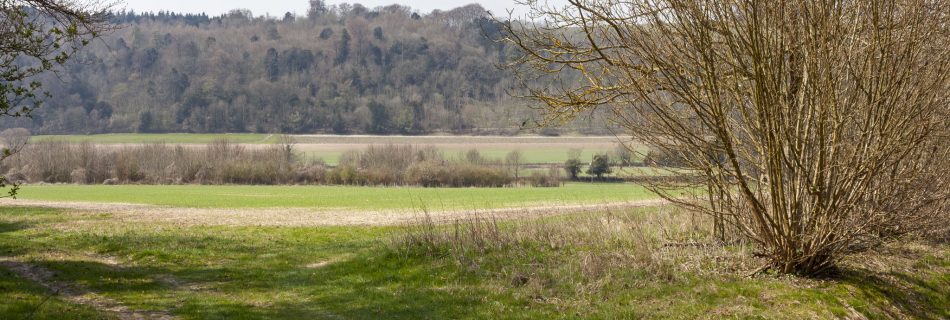 Chilgrove, West Sussex