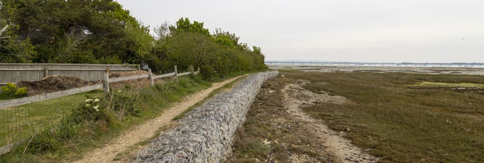 Shoreline Walking Path