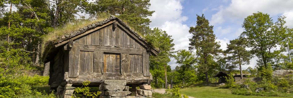 Raised Wooden Building