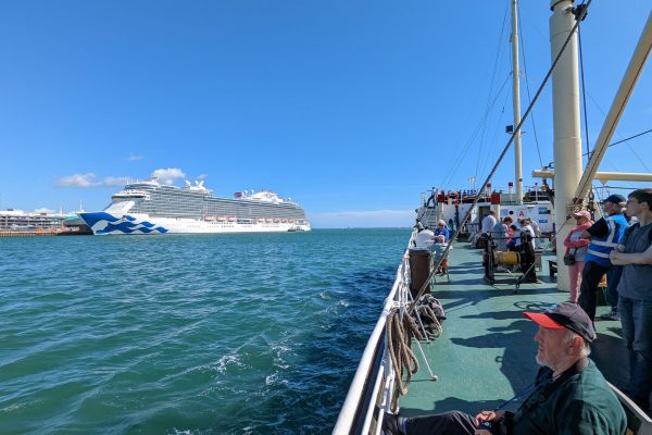 Sky Princess From Shieldhall