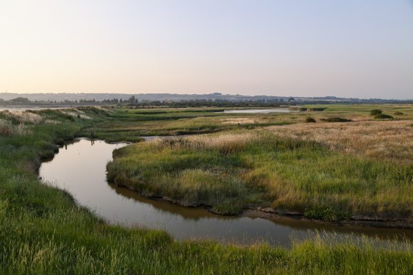 A flat, grassy landscape on a clear evening; weak, warm sun coming in from the left. This is verdant marshland with a curving river running through it and low hills on the horizon.